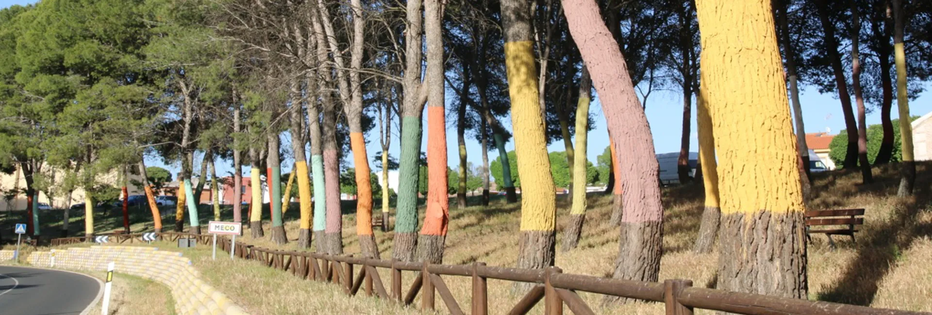 FOTO PINAR Coloressd