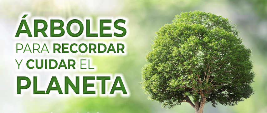 Árboles para recordar y educar en lo medioambiental